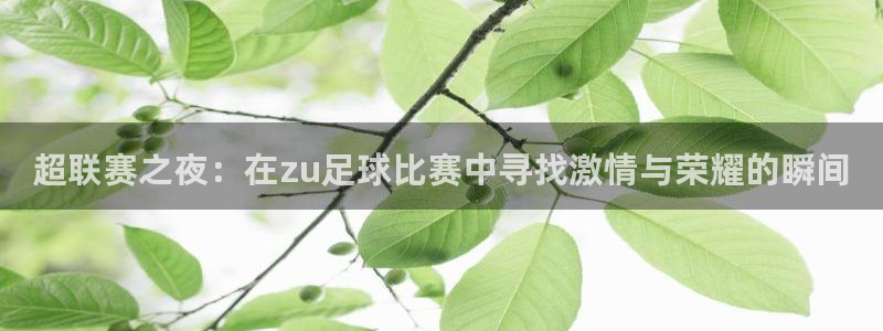  超联赛之夜：在zu足球比赛中寻找激情与荣耀的瞬间