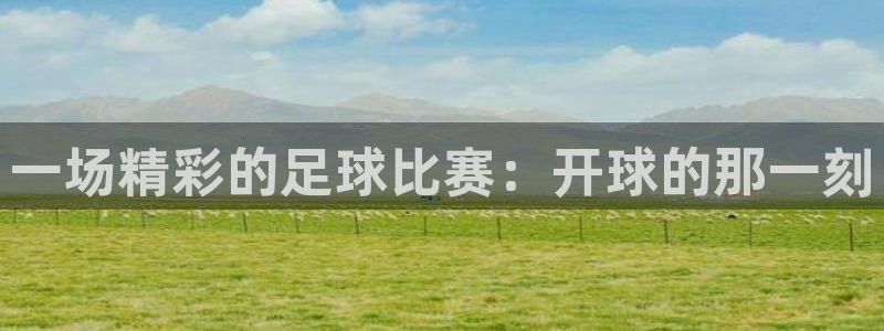  一场精彩的足球比赛：开球的那一刻