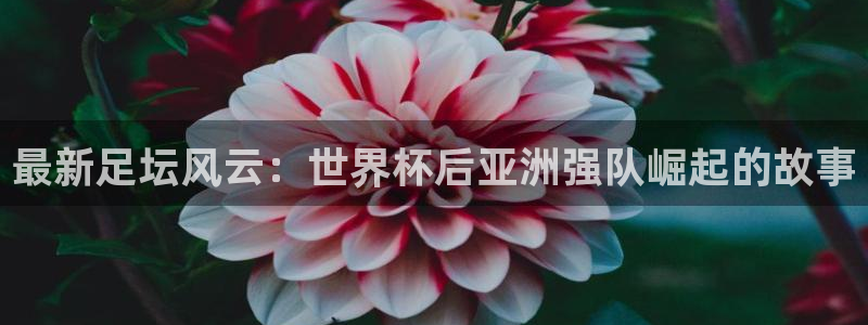  最新足坛风云：世界杯后亚洲强队崛起的故事