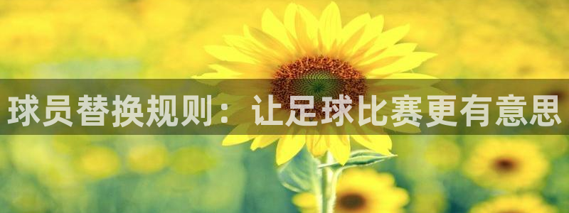 球员替换规则：让足球比赛更有意思