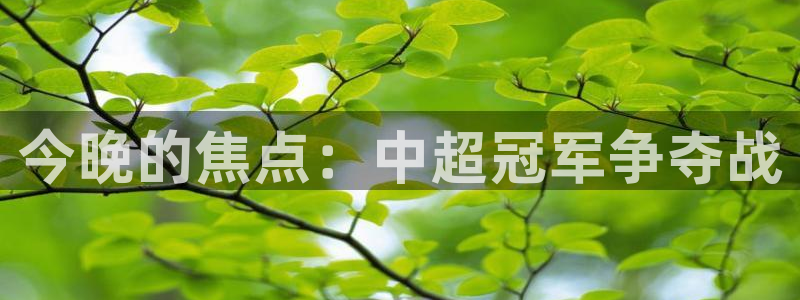  今晚的焦点：中超冠军争夺战