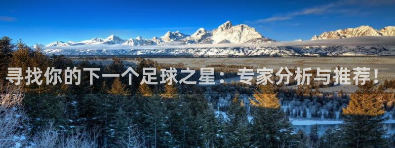  寻找你的下一个足球之星：专家分析与推荐！