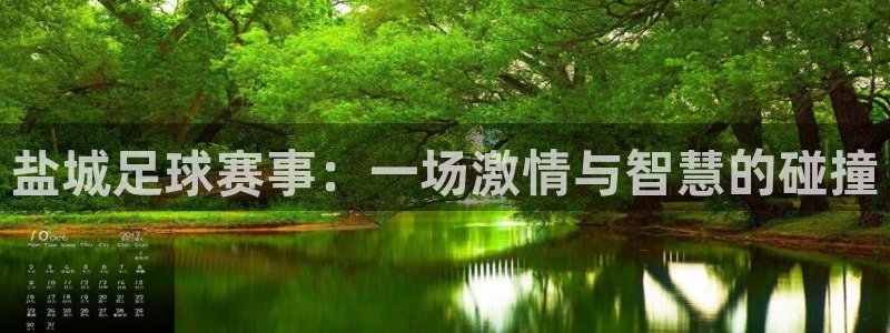 盐城足球赛事：一场激情与智慧的碰撞