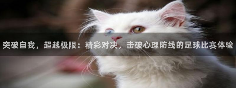 突破自我，超越极限：精彩对决，击破心理防线的足球比赛体验