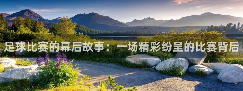 足球比赛的幕后故事：一场精彩纷呈的比赛背后