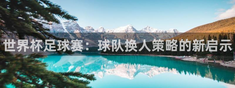  世界杯足球赛：球队换人策略的新启示