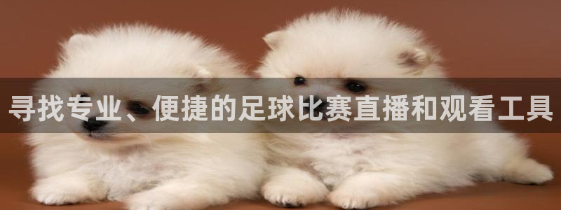 寻找专业、便捷的足球比赛直播和观看工