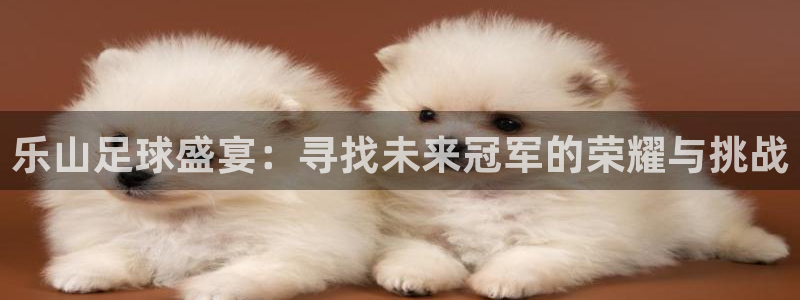 乐山足球盛宴：寻找未来冠军的荣耀与挑
