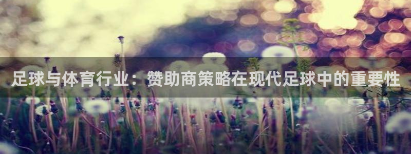 足球与体育行业：赞助商策略在现代足球