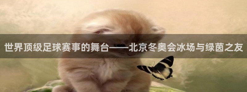 世界顶级足球赛事的舞台——北京冬奥会