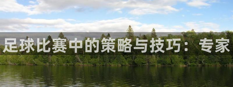 足球比赛中的策略与技巧：专家