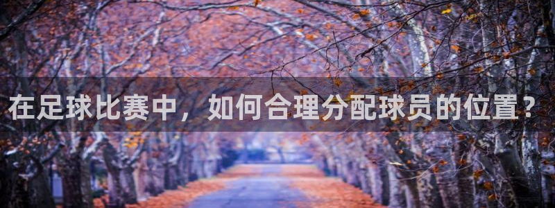 在足球比赛中，如何合理分配球员的位置
