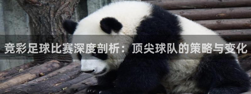  竞彩足球比赛深度剖析：顶尖球队的策略与变化
