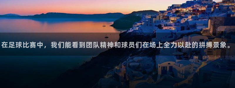  在足球比赛中，我们能看到团队精神和球员们在场上全力以赴的拼搏