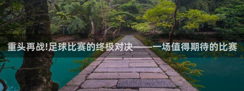 重头再战!足球比赛的终极对决——一场