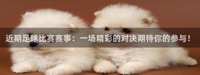 近期足球比赛赛事：一场精彩的对决期待
