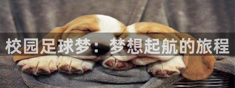 校园足球梦：梦想起航的旅程
