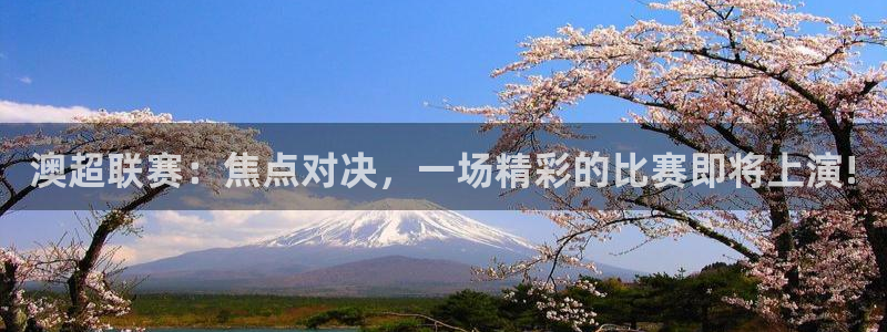 澳超联赛：焦点对决，一场精彩的比赛即