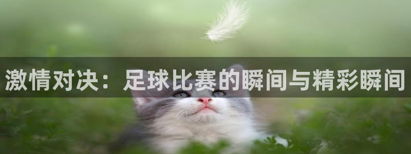 激情对决：足球比赛的瞬间与精彩瞬间