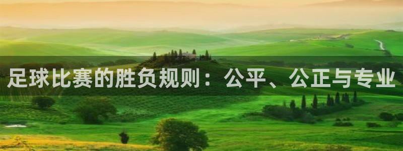  足球比赛的胜负规则：公平、公正与专业