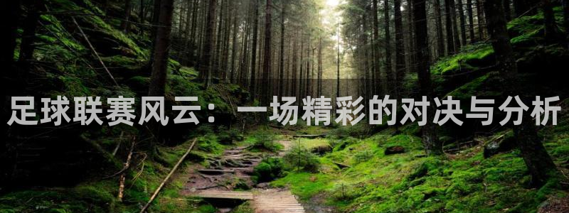 足球联赛风云：一场精彩的对决与分析